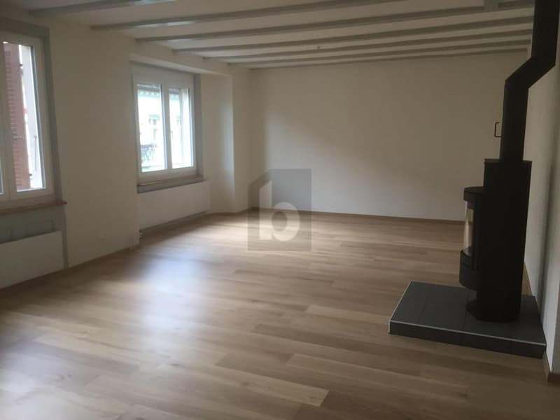 HABITATION AVEC ESPACE DE VIE LUMINEUX (2)