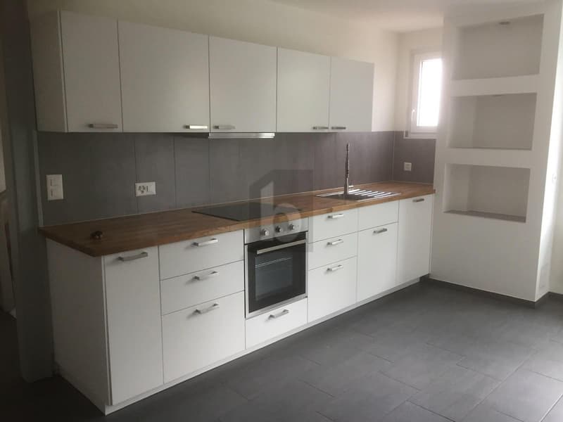 HABITATION AVEC ESPACE DE VIE LUMINEUX (3)