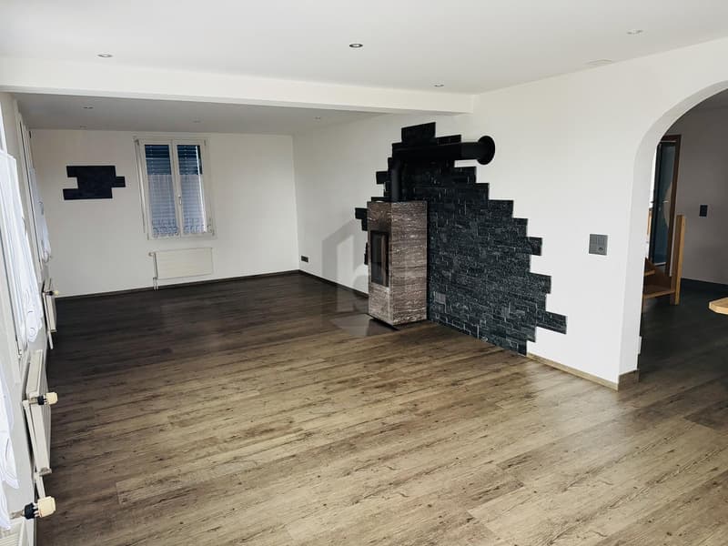 GROSSZÜGIG WOHNEN MIT 150 M² TERRASSE (3)
