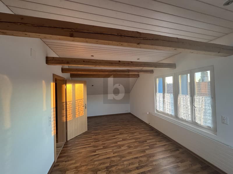 GROSSZÜGIG WOHNEN MIT 150 M² TERRASSE (2)