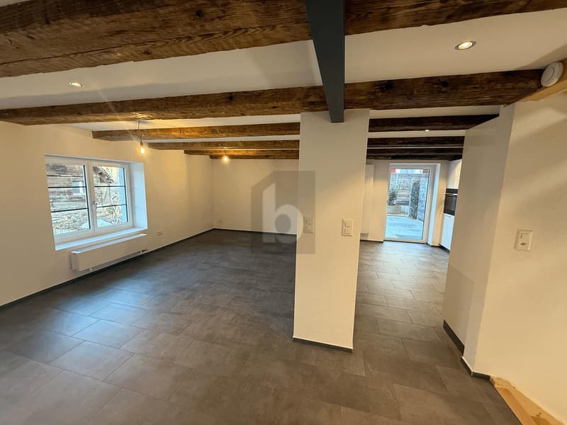 HOCHWERTIG RENOVIERT MIT SICHTBALKON! (1)