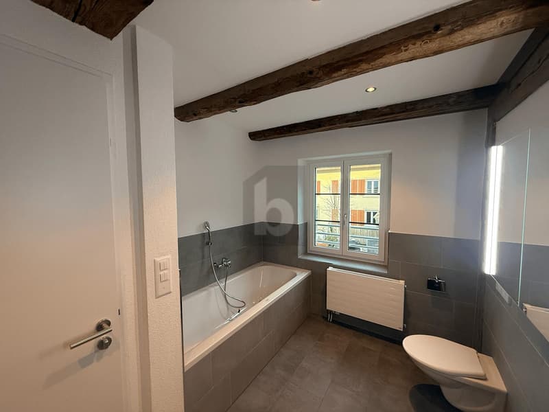 HOCHWERTIG RENOVIERT MIT SICHTBALKON! (5)
