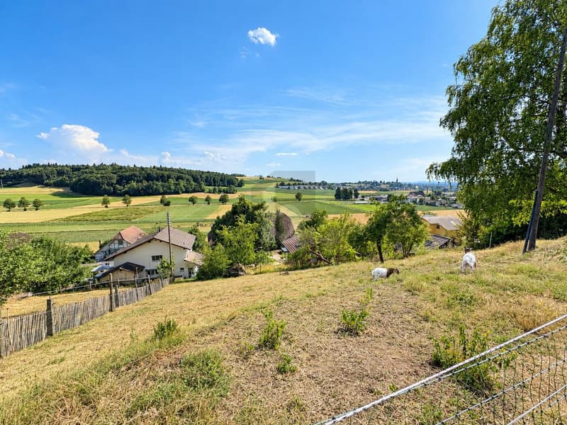 BAUPARADIES MIT PANORAMABLICK (2)