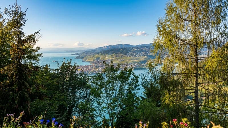 HAVRE DE PAIX AU COEUR DES ALPES, VUE SUR LE LEMAN (1)