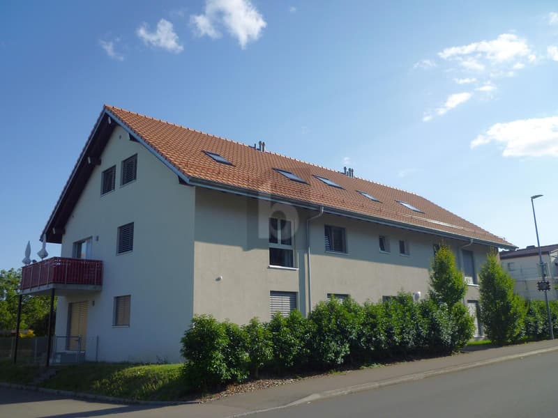 MODERNE AVEC VUE BELLE VUE MONTAGNES ! (1)