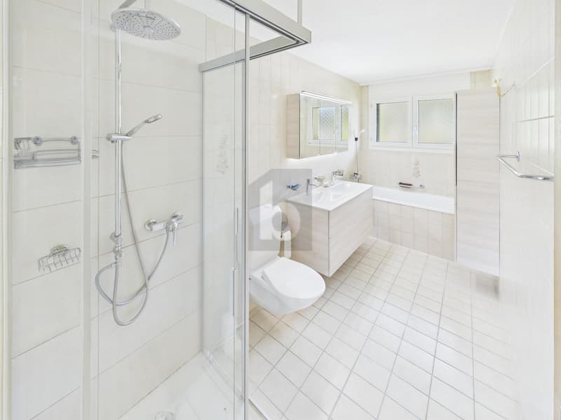 NEU RENOVIERT, GROSSZÜGIG UND MIT AUSSICHT (4)