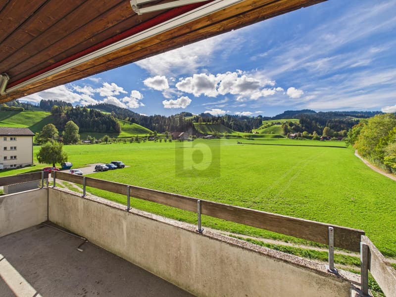 NEU RENOVIERT, GROSSZÜGIG UND MIT AUSSICHT (1)
