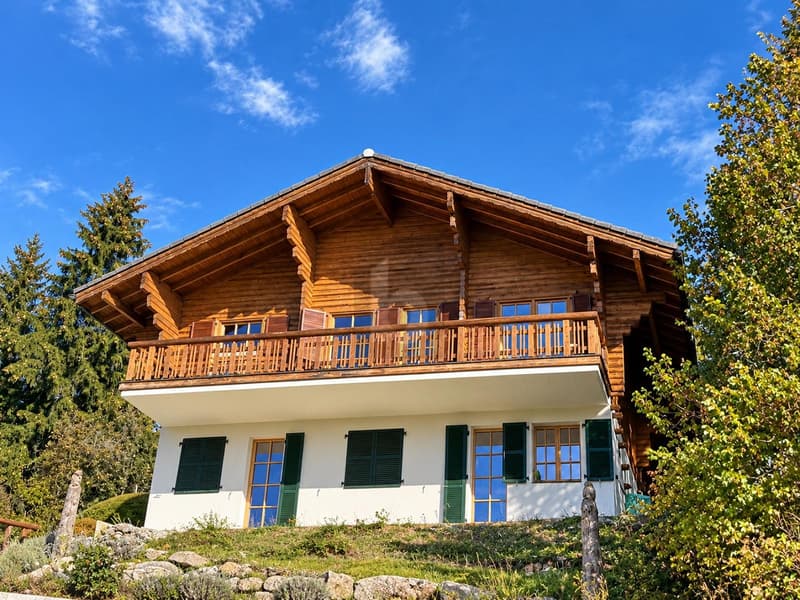 MAGNIFIQUE, RÉNOVÉ AU COEUR DES MONTAGNES (1)