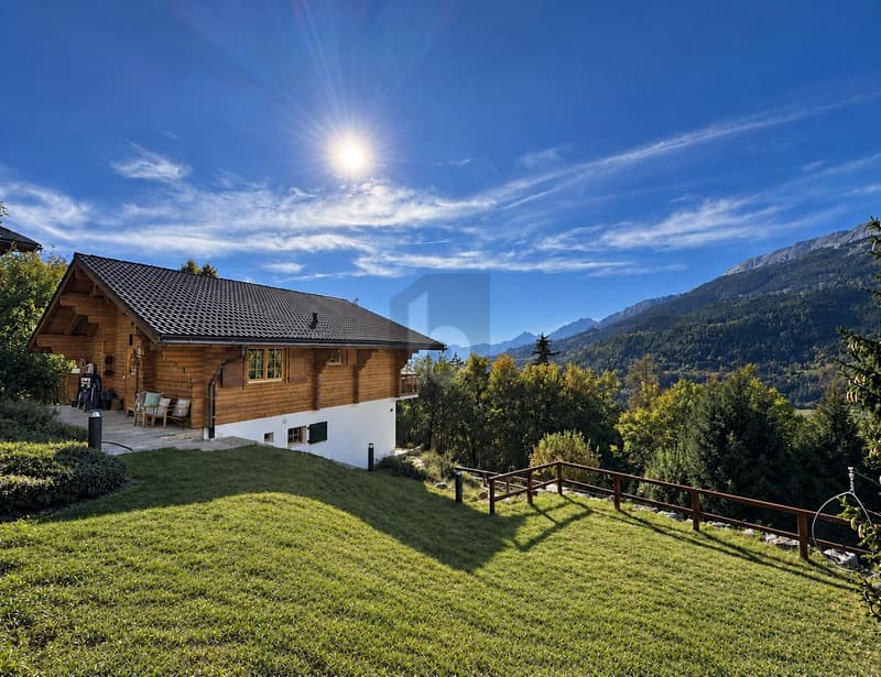 MAGNIFIQUE, RÉNOVÉ AU COEUR DES MONTAGNES (2)