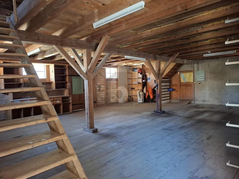VIEL PLATZ AN ZENTRALER LAGE (2)