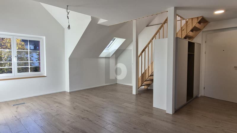 MIT PRIVATER DACHTERRASSE & WEITBLICK (3)