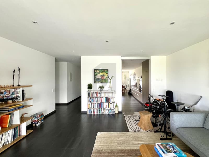 MODERNE ET LUMINEUX, AU DERNIER ETAGE (2)