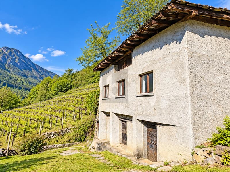 IDILLIACO RIFUGIO IMMERSO NELLA NATURA (2)