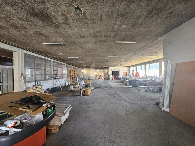 HALLE INDUSTRIELLE- POTENTIEL EXCEPTIONEL (3)