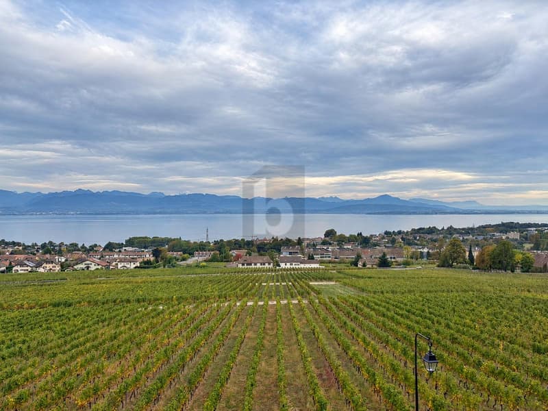 AVEC VUE PANORAMIQUE SUR LE LÉMAN (2)