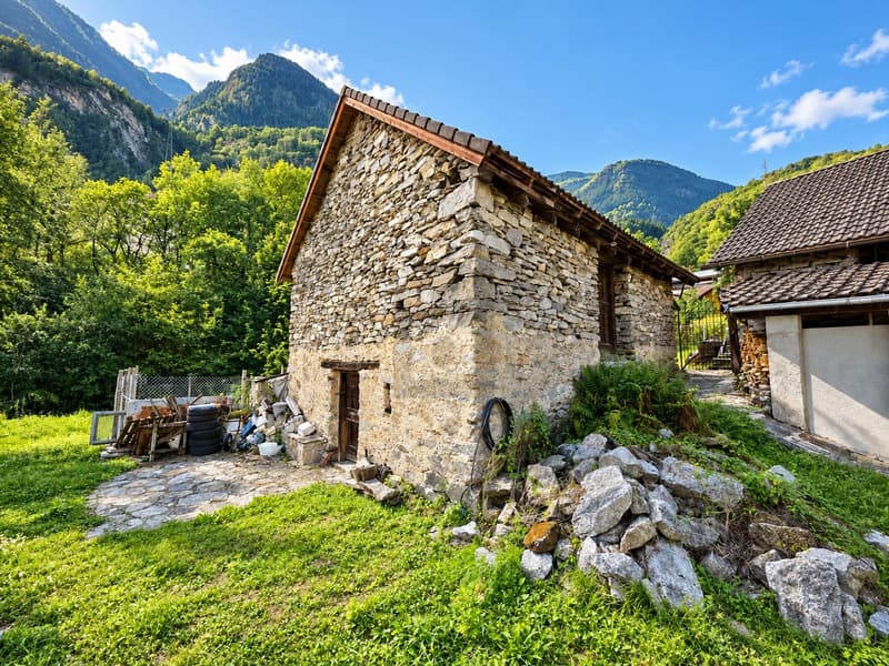 IN POSIZIONE TRANQUILLA, DA RISTRUTTURARE (1)
