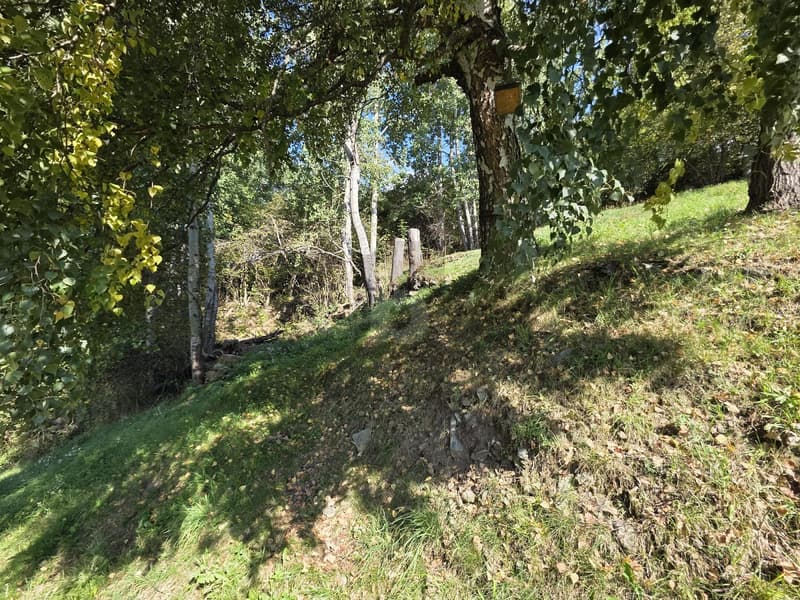 IN POSIZIONE SOLEGGIATA (4)