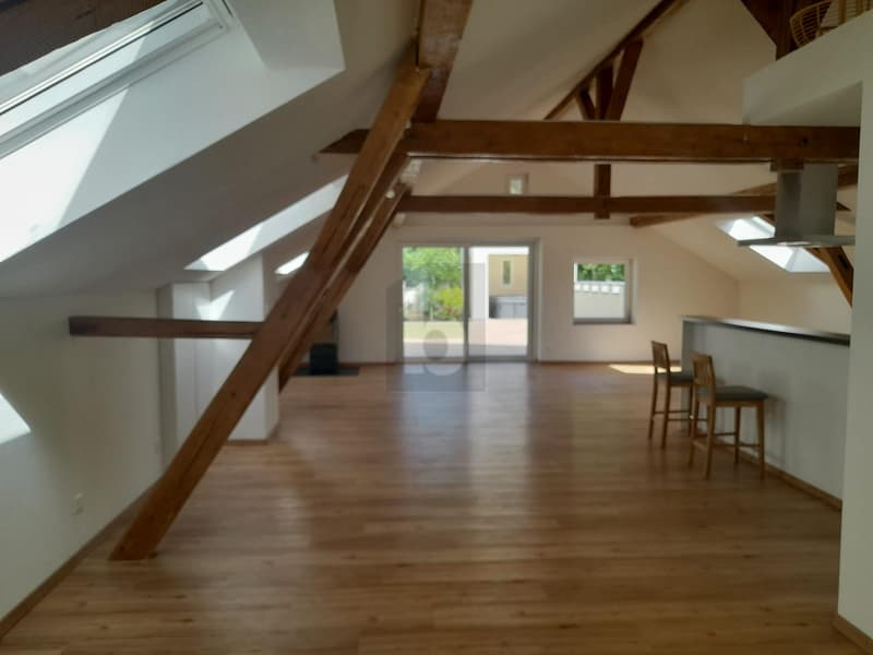 2 ZIMMER DACHWOHNUNG MIT BURGCHARAKTER (2)