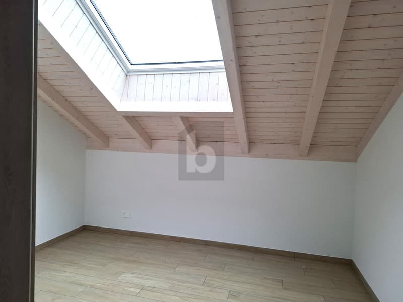 ATTIQUE NEUVE, SPACIEUSE, LUMINEUSE ET MODERNE (3)