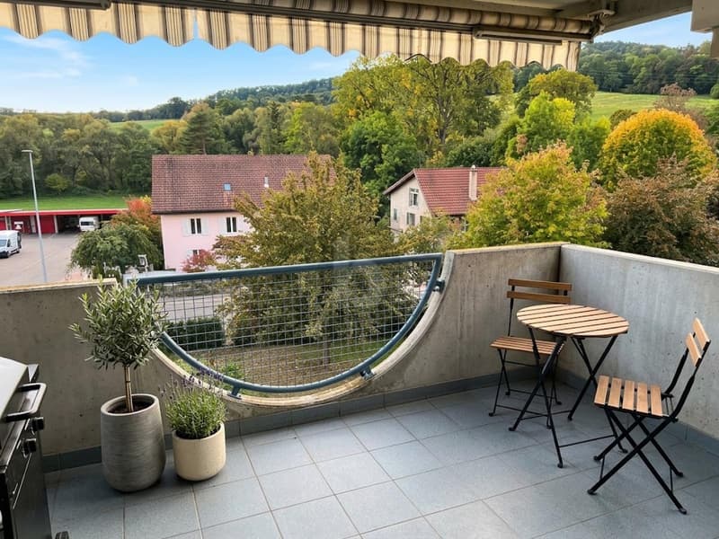 GRAND DUPLEX AU CALME (1)