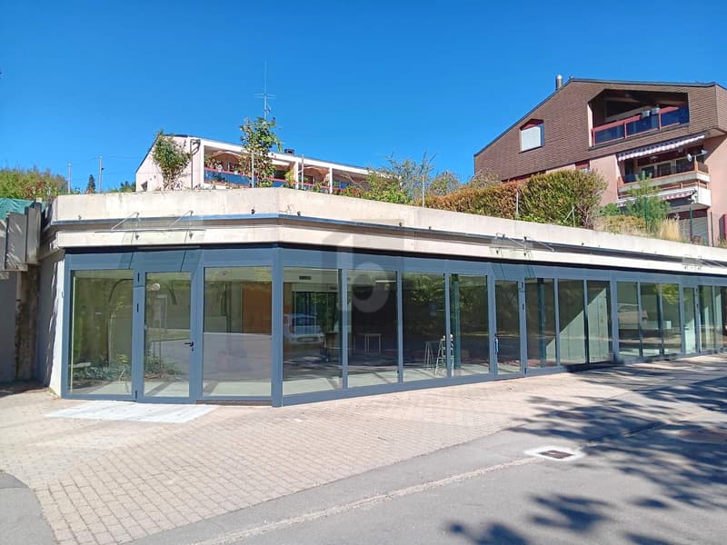 GRANDS ESPACES MODULABLES LUMINEUX ! (1)
