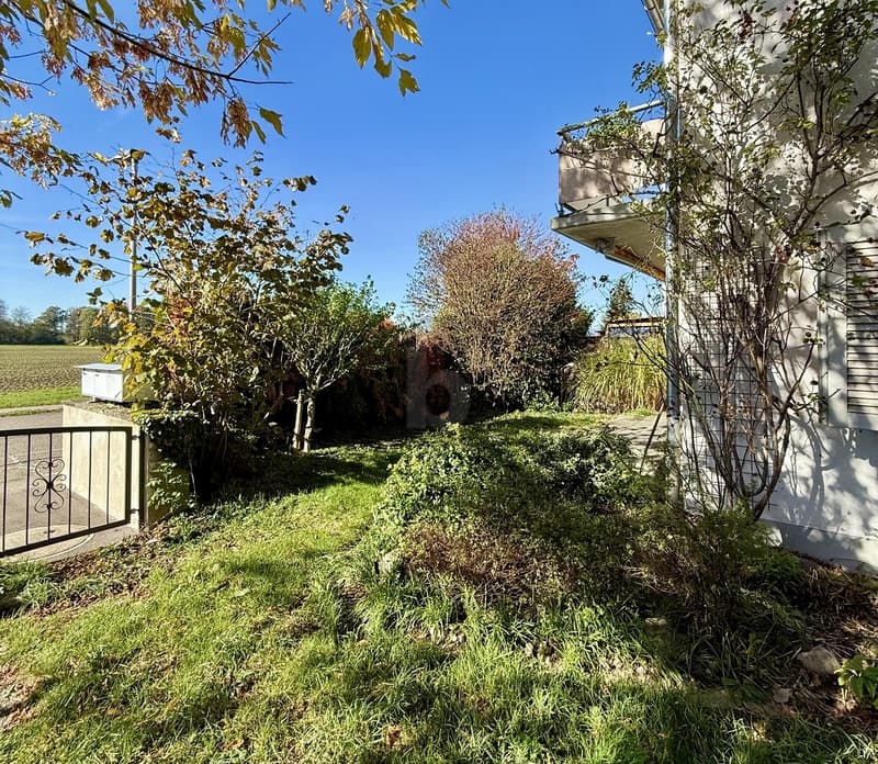 FRISCH RENOVIERT MIT GARTEN UND TERRASSE (2)