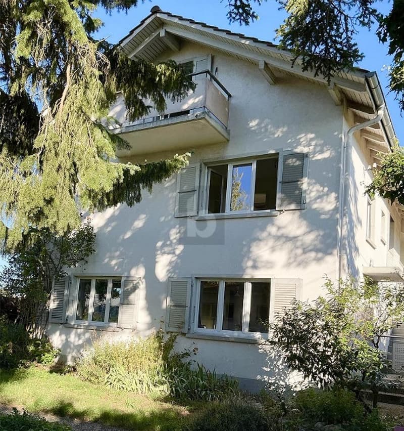 FRISCH RENOVIERT MIT GARTEN UND TERRASSE (1)