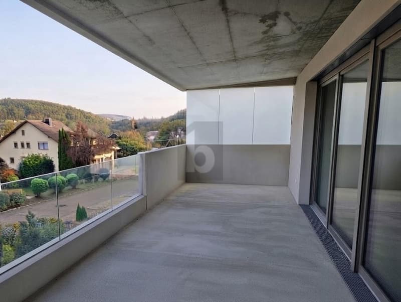 LUMINEUX, SPACIEUX AVEC UN IMMENSE BALCON (5)