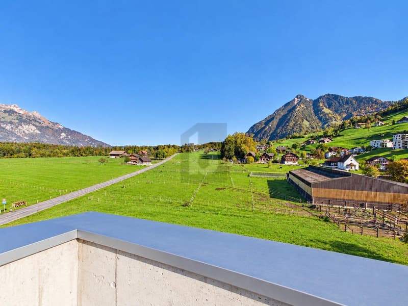 NEUBAU - AN RUHIGER LAGE IM GÜRNEN (1)