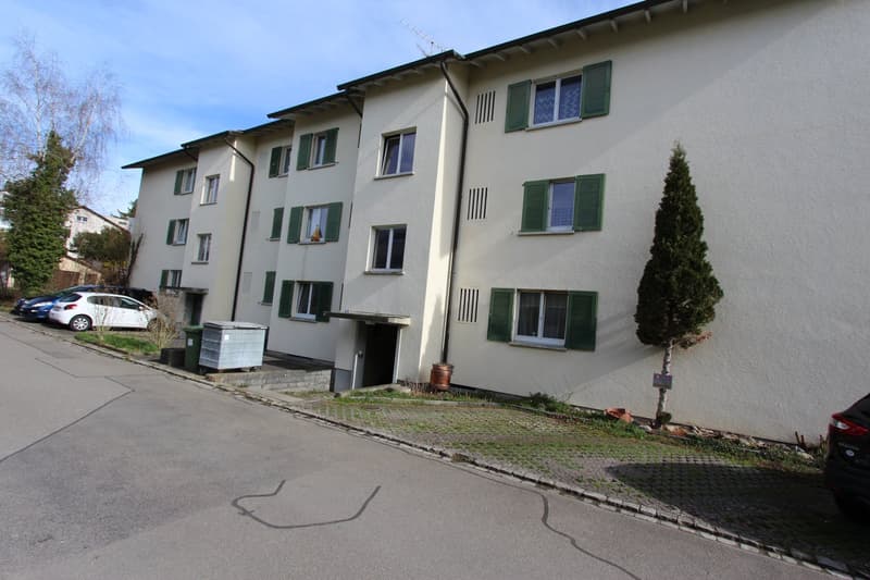 White building with multiple windows, green shutters, cars parked in front, small tree in front of the building