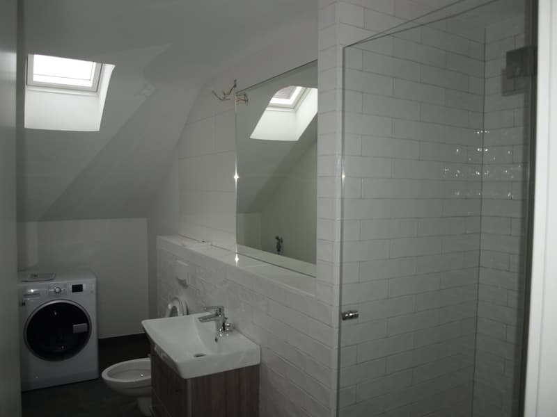Badezimmer mit Dusche & Waschmaschine