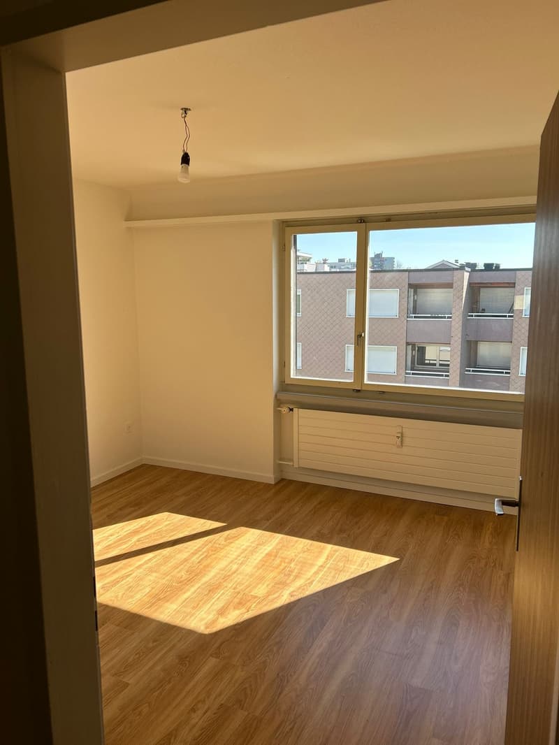 Charming 4-room attic apartment in Wil SG (8)