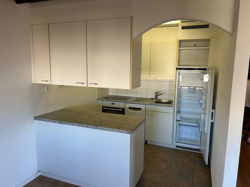Charming 4-room attic apartment in Wil SG (11)