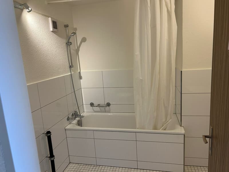 Charming 4-room attic apartment in Wil SG (14)