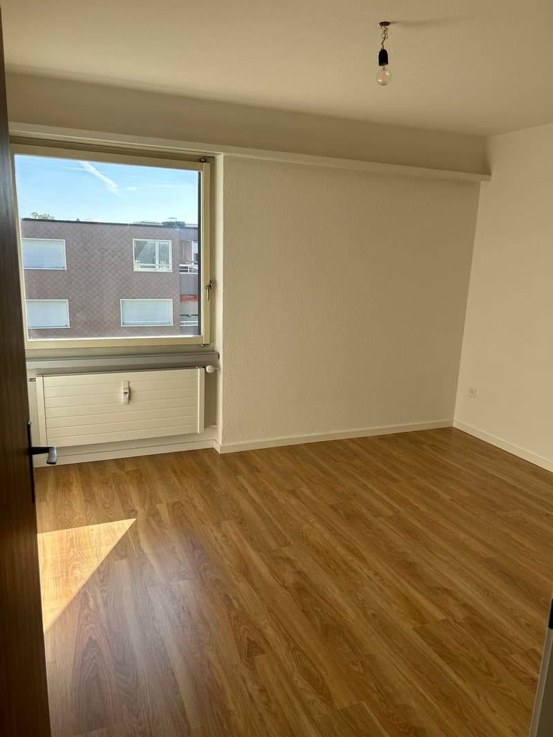 Charming 4-room attic apartment in Wil SG (5)