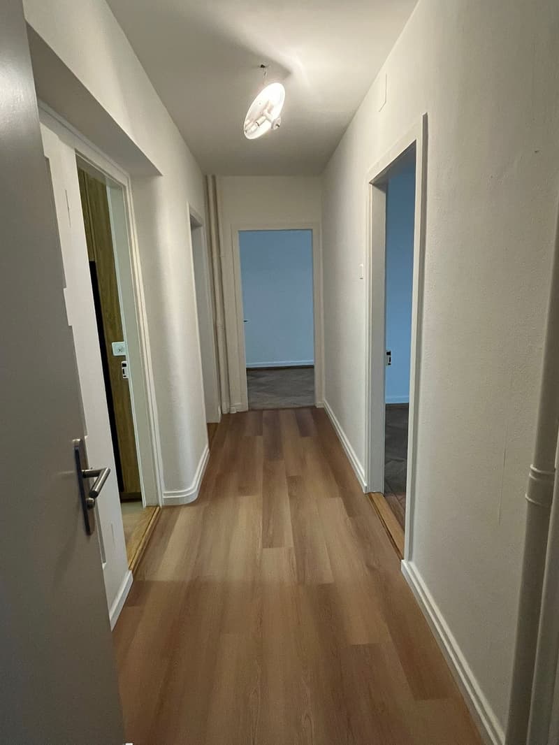 Appartamento 3 camere a Manesseplatz – centrale e pratico (2)