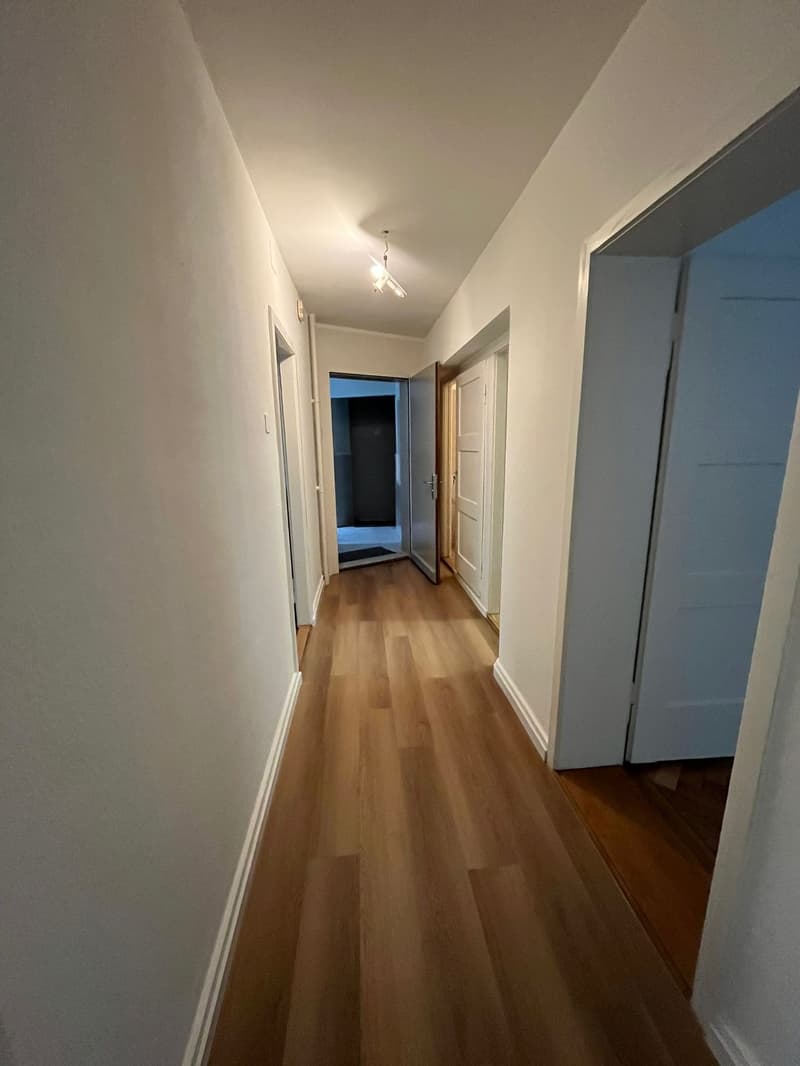 Appartamento 3 camere a Manesseplatz – centrale e pratico (3)