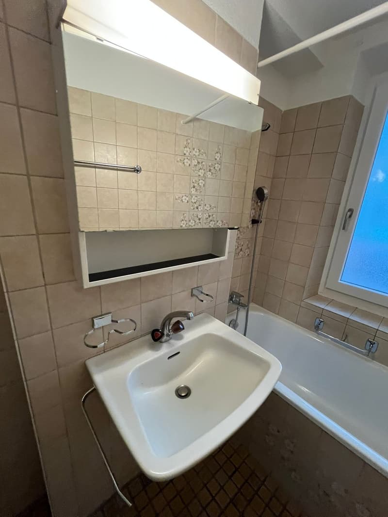 Appartamento 3 camere a Manesseplatz – centrale e pratico (12)