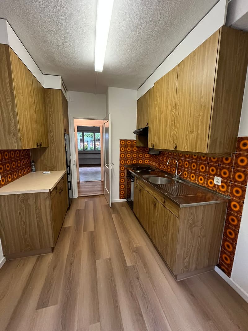 Appartamento 3 camere a Manesseplatz – centrale e pratico (7)