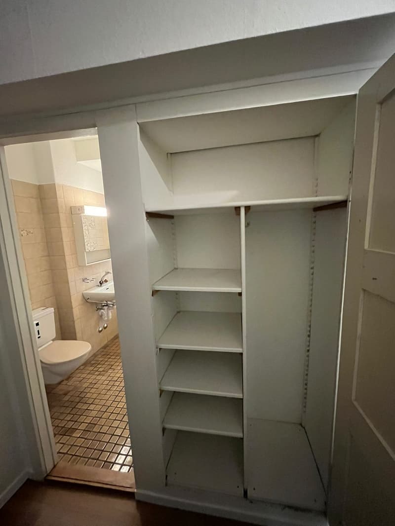 Appartamento 3 camere a Manesseplatz – centrale e pratico (9)