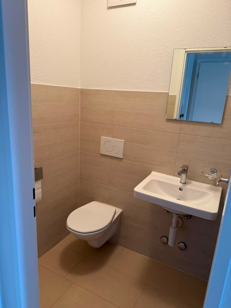 Appartamento di 3 locali luminoso in una zona tranquilla a Embrach (8)