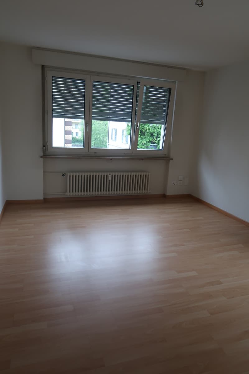 Appartamento di 3 locali luminoso con balcone a Lucerna – disponibile immediatamente (5)