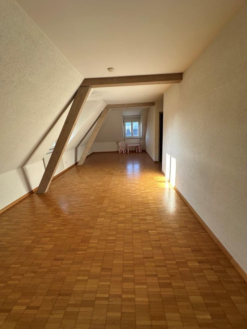 Charming 3-room attic apartment in St. Gallen (8)