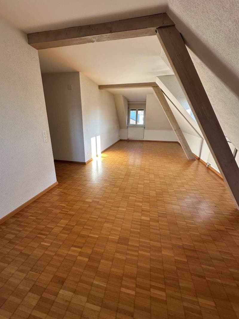 Charming 3-room attic apartment in St. Gallen (7)