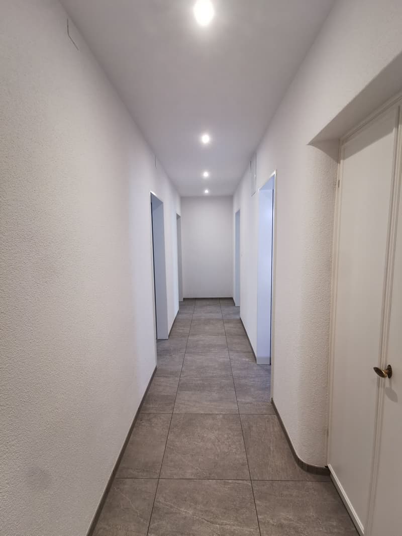 Frisch renovierte 3-Zimmer-Wohnung mit Balkon an der Seebahnstrasse, Zürich (12)