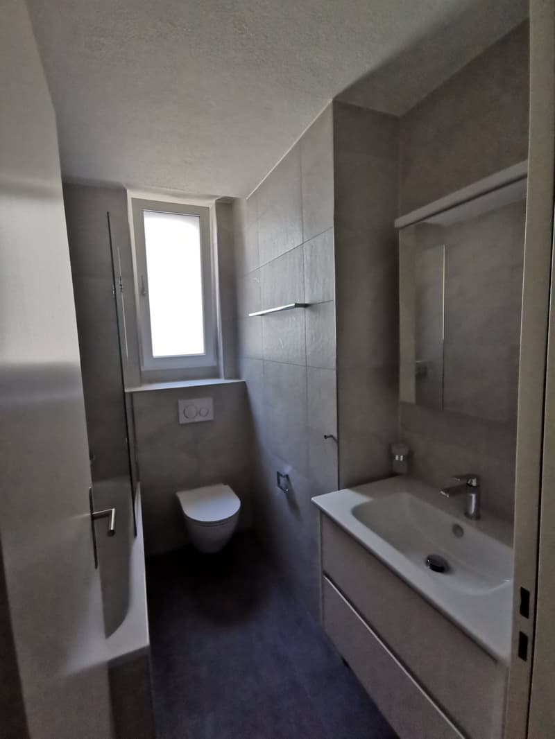 Frisch renovierte 3-Zimmer-Wohnung mit Balkon an der Seebahnstrasse, Zürich (3)