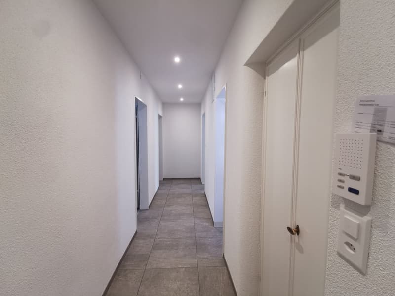 Frisch renovierte 3-Zimmer-Wohnung mit Balkon an der Seebahnstrasse, Zürich (2)