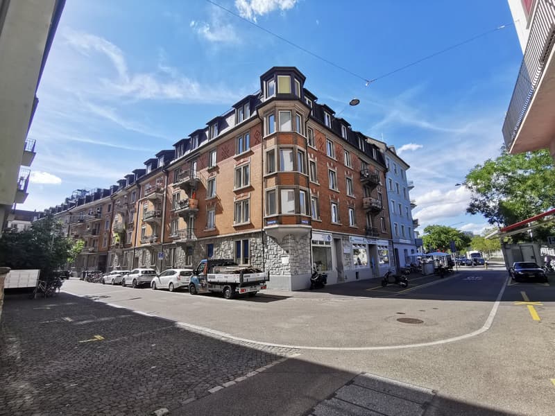 Frisch renovierte 3-Zimmer-Wohnung nahe Bahnhof Wiedikon (ab sofort) (1)
