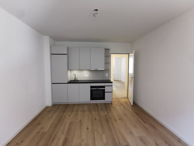 Frisch renovierte 3-Zimmer-Wohnung nahe Bahnhof Wiedikon (ab sofort) (13)