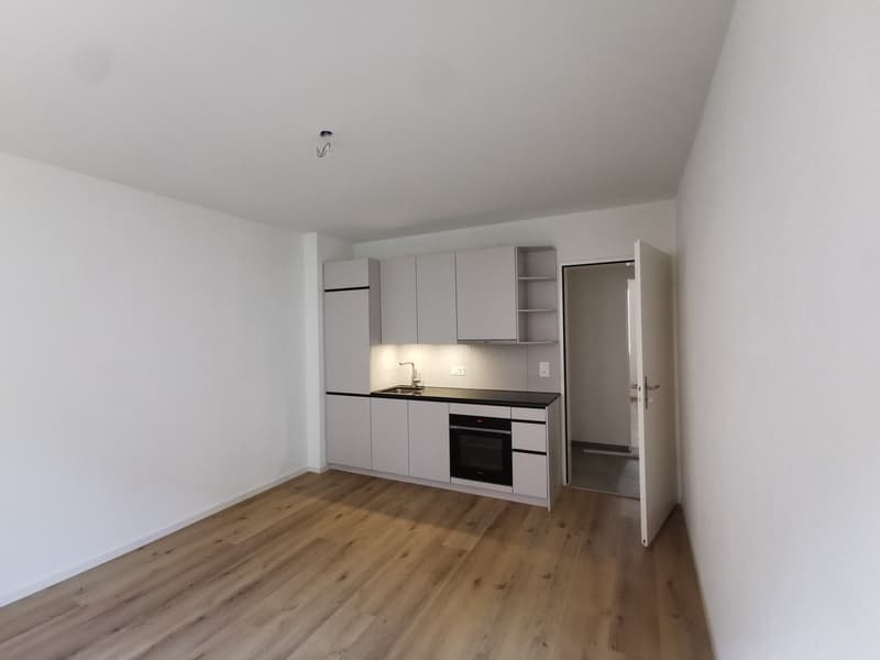 Frisch renovierte 3-Zimmer-Wohnung nahe Bahnhof Wiedikon (ab sofort) (5)